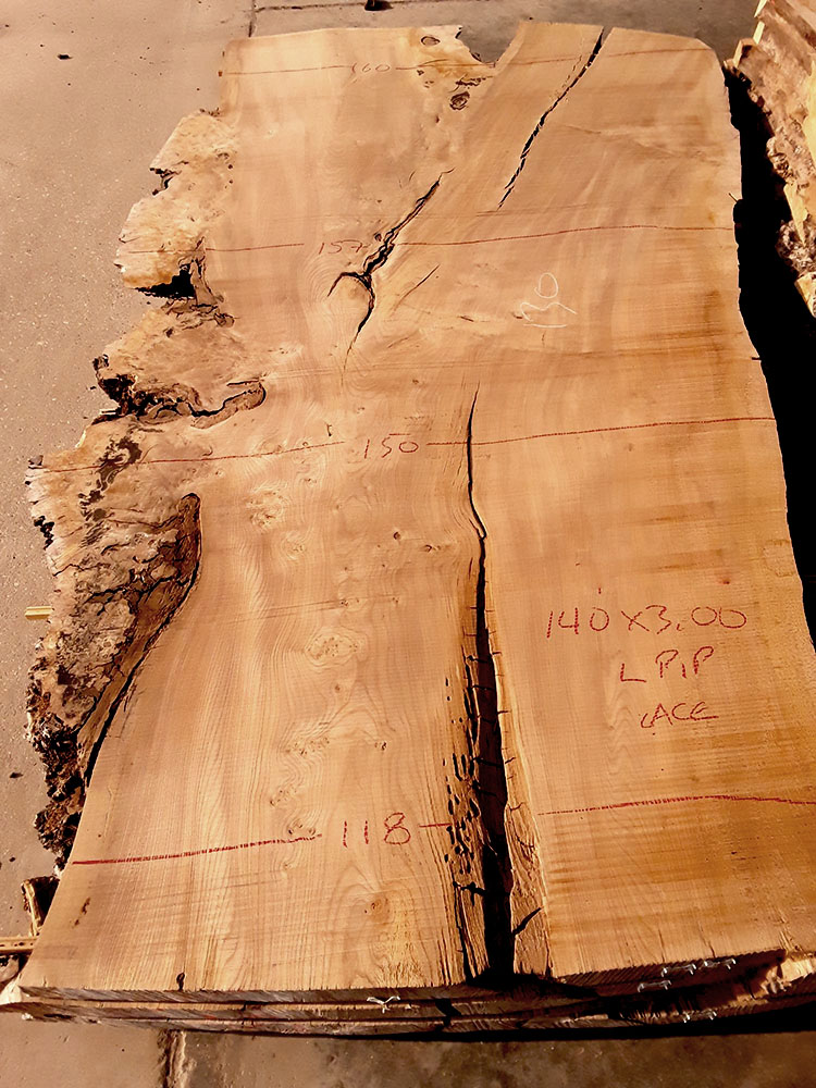 65mm thick slab of Scottish Burr Elm